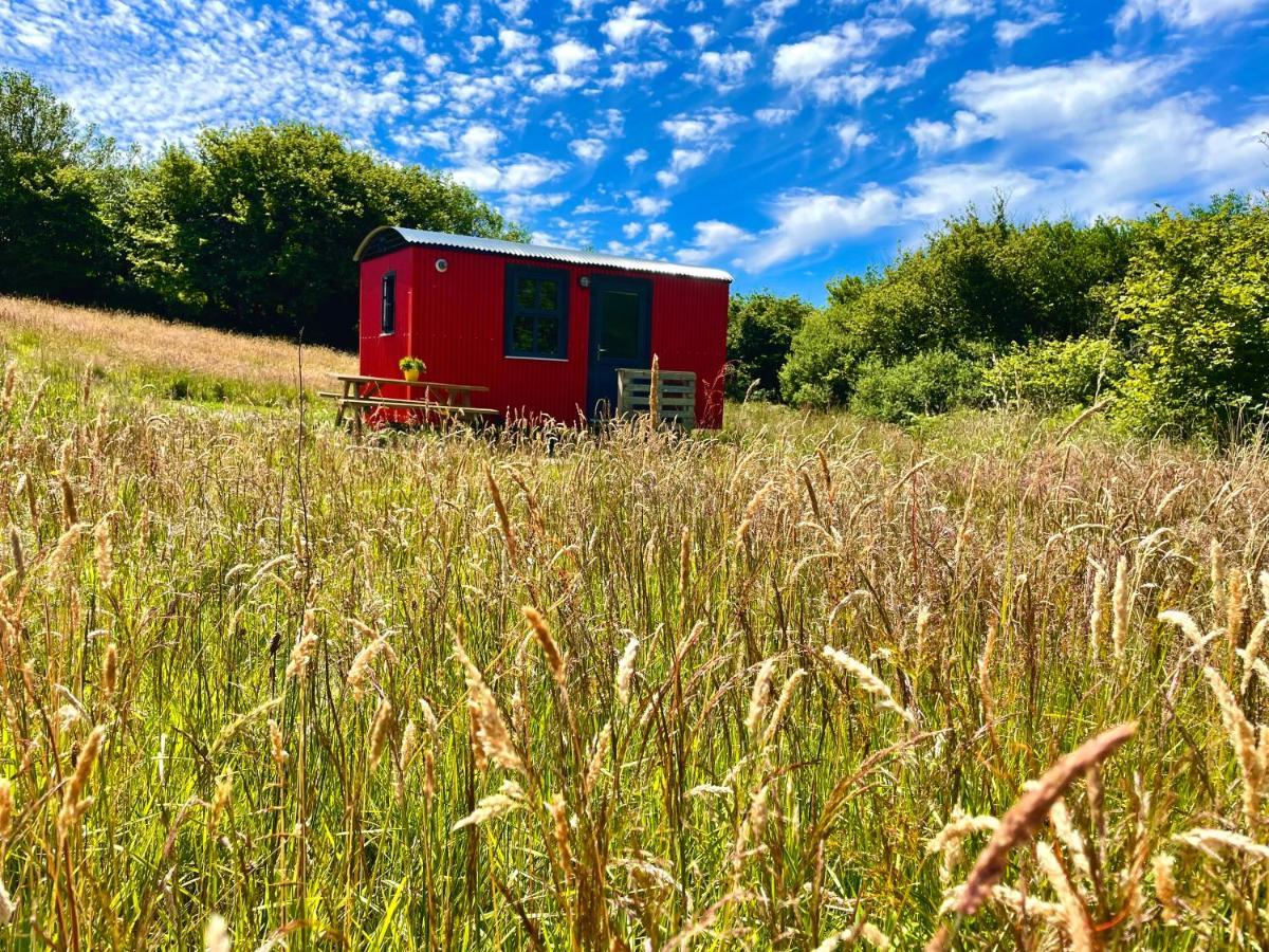 Hotel Stepping Stones Glamping Little Red Bantry Exterior foto
